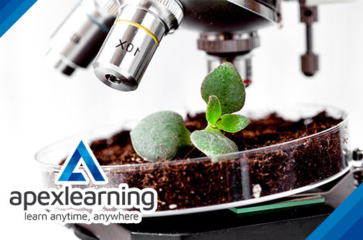 Develop a New Hobby with Apex Learning`s Agricultural Science Online Course