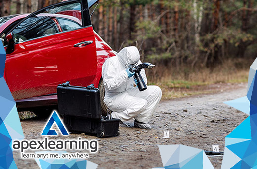 Learn a New Skill with Apex Learning`s Accident Investigation Online Course
