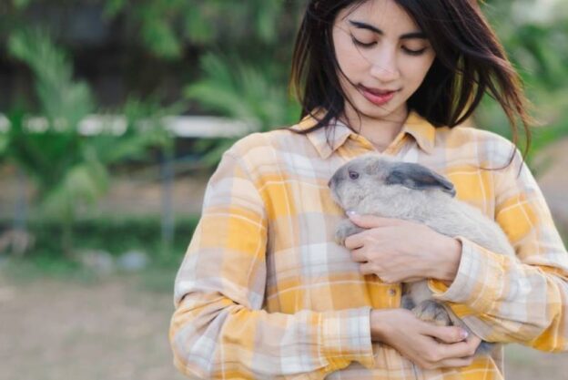 <div>How Do I Know If My Rabbit Likes Me? 7 Signs & Bonding Tips</div>