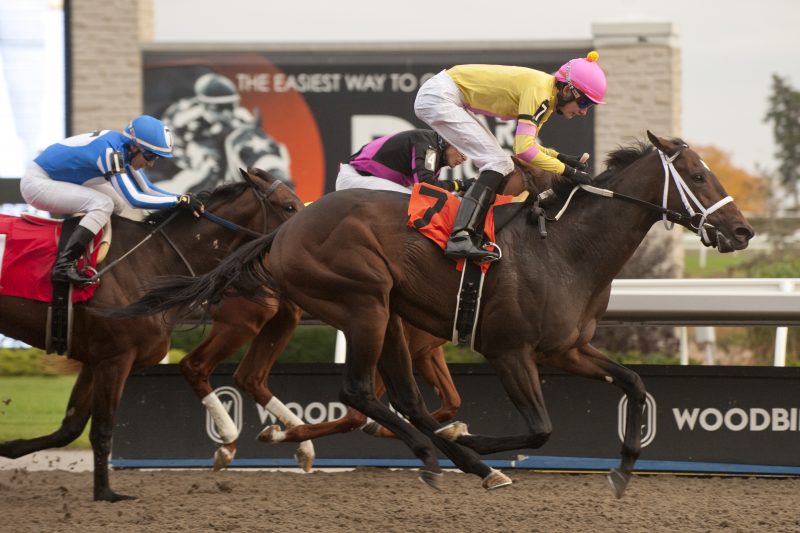 Attard sends out pair in Toronto Cup / Special holiday card of racing on Monday