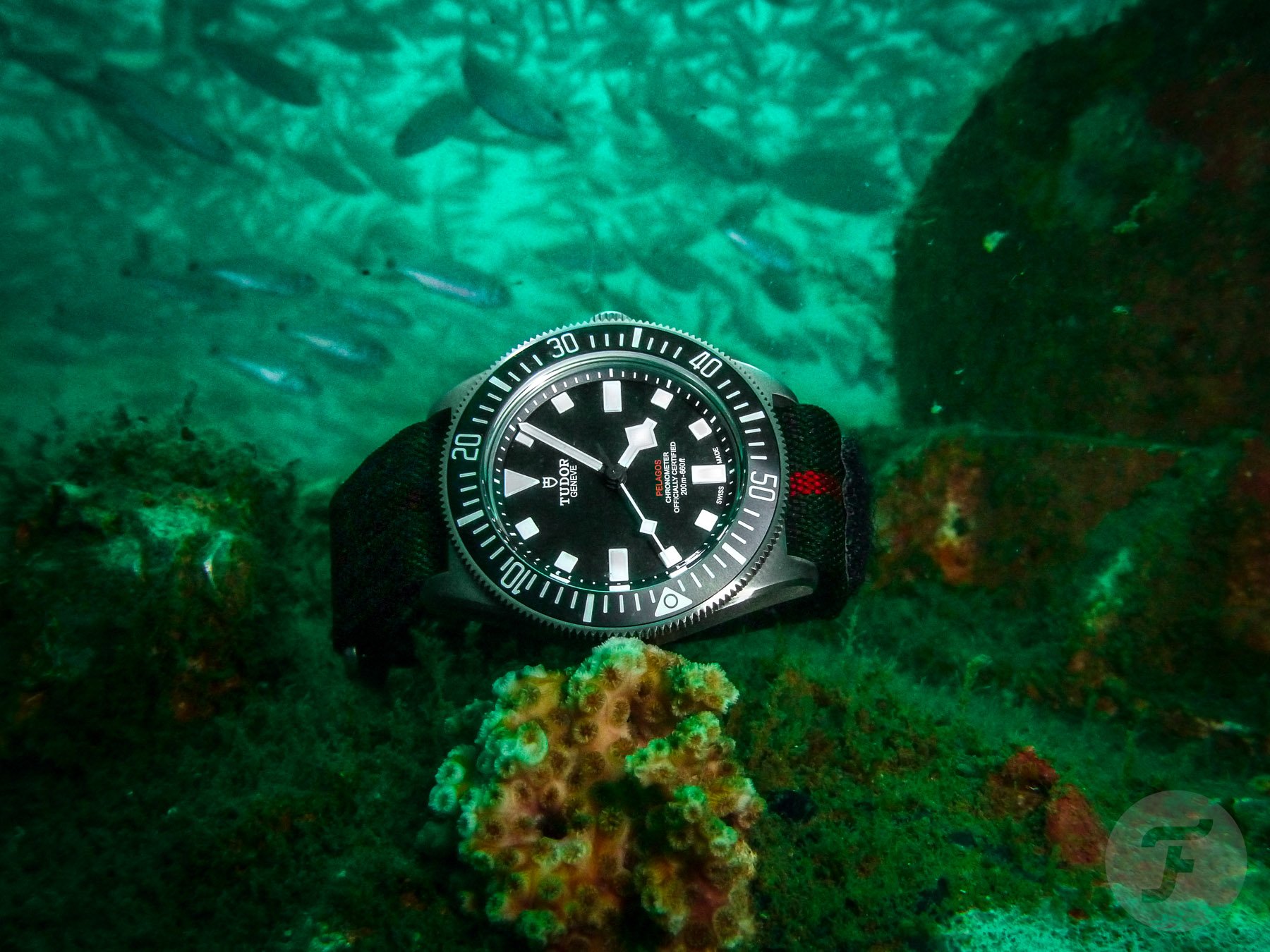 Hands-On: Putting The New Tudor Pelagos FXD Through Its Paces On Florida’s Emerald Coast