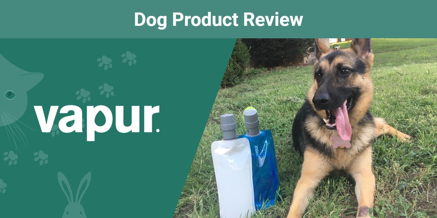 Vapur EZ Lick Dog Water Bottle Review 2023: Our Expert’s Opinion