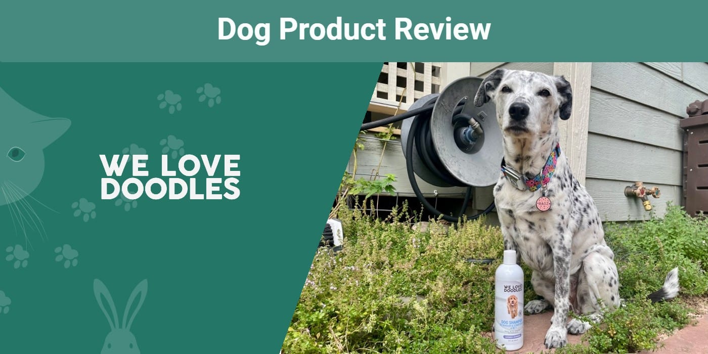 We Love Doodles Dog Shampoo Review 2023: Our Expert’s Opinion