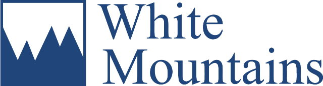 White Mountains Insurance to buy a majority stake in Bamboo
