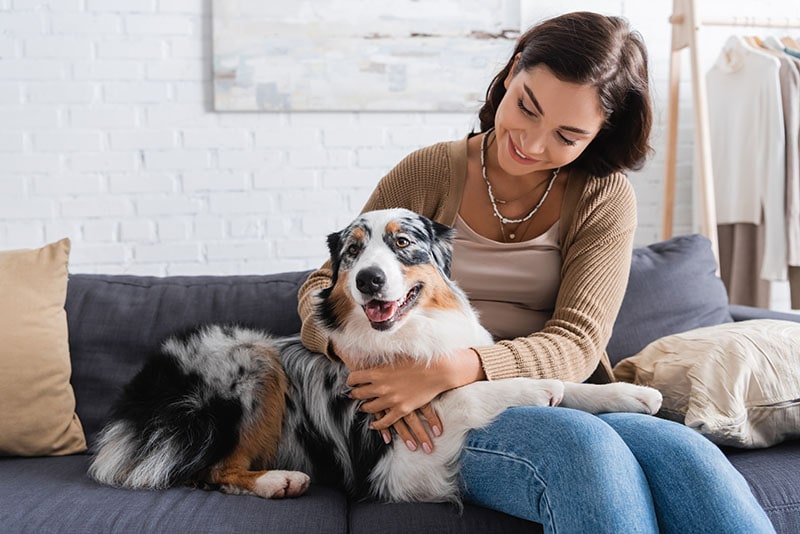 <div>National Australian Shepherd Day 2023: What Is It & How to Celebrate</div>