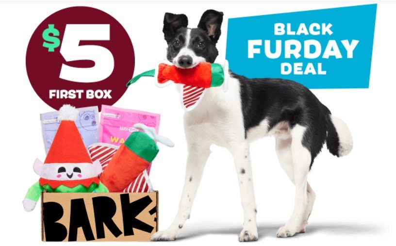Bark Box Black Friday Deals 2023 | Score Your First Box For $5! Double The Contents For Free!