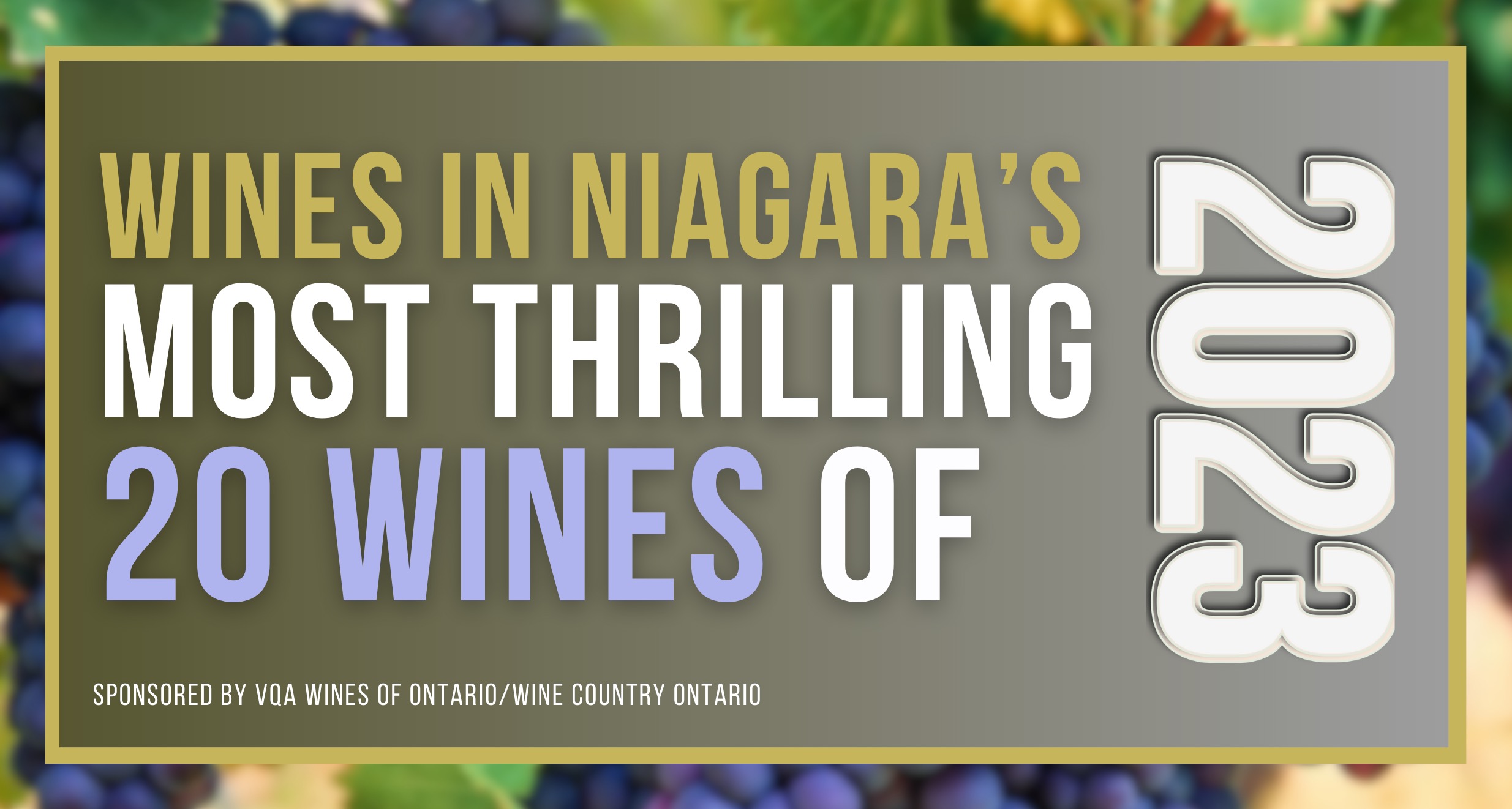 The Most Thrilling Niagara White and Red Wines of 2023