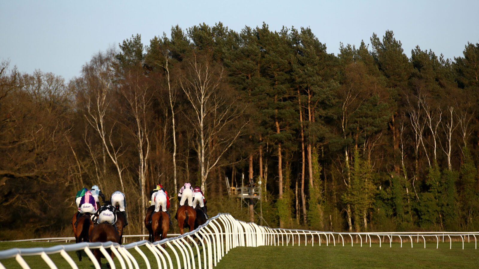Market Rasen Tips: Autumn to win on Tuesday’s Return to Lincolnshire