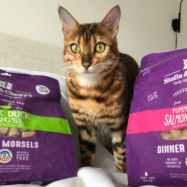 Protein Rotation for Cats