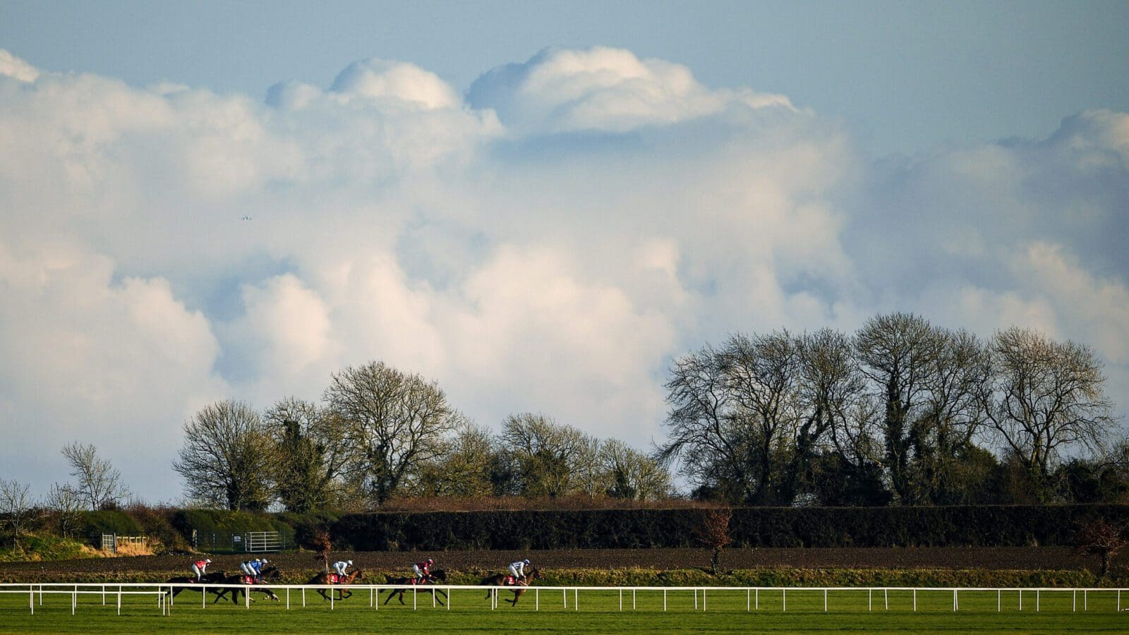 Monday Racing Tips: Chief can be the boss at Fairyhouse