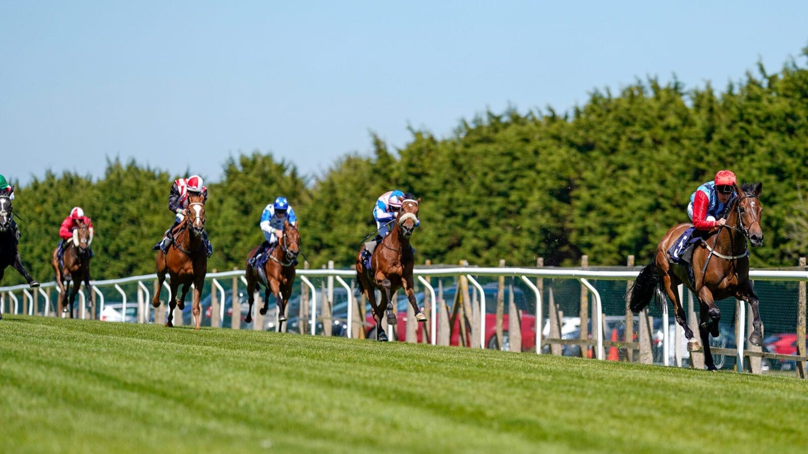 Brighton Tips: African Queen to sparkle at the seaside