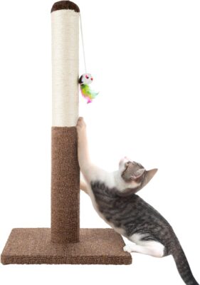 PETMAKER Cat Scratching Post – Tall Only $12.26