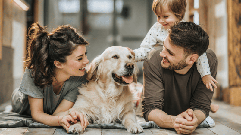 FHA Loans and Your Pet: Unlocking the Door to Your Dream Pet-Friendly Home